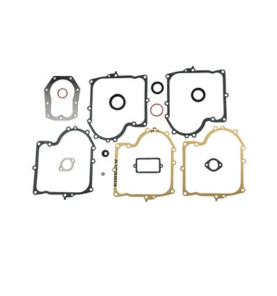 Packningssats Briggs & Stratton 10-13hk, 494241 - 1