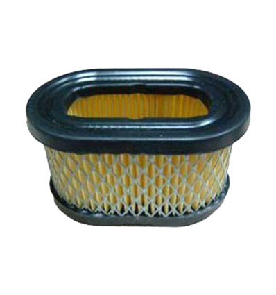 Luftfilter Briggs & Stratton Quantum, OHV, 494586, 497725 - 1