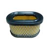 Luftfilter Briggs & Stratton Quantum, OHV, 494586, 497725 - 1