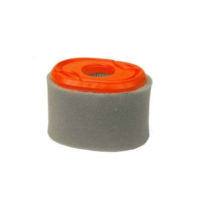Luftfilter Briggs & Stratton XR550, 796970 - 1