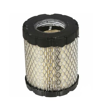 Luftfilter Briggs & Stratton 798897 - 1