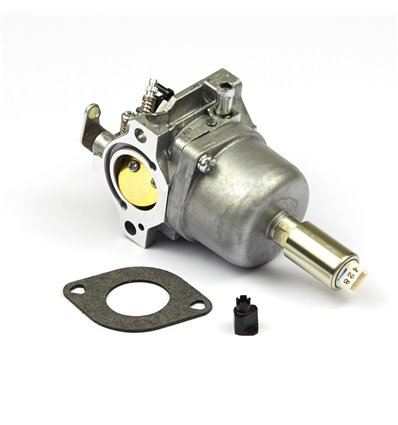 BRIGGS & STRATTON Förgasare Nikki, 799727 - 1