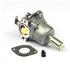BRIGGS & STRATTON Förgasare Nikki, 799727 - 1