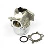 BRIGGS & STRATTON Förgasare 799869 - 1