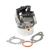 BRIGGS & STRATTON Förgasare 591137 - 1