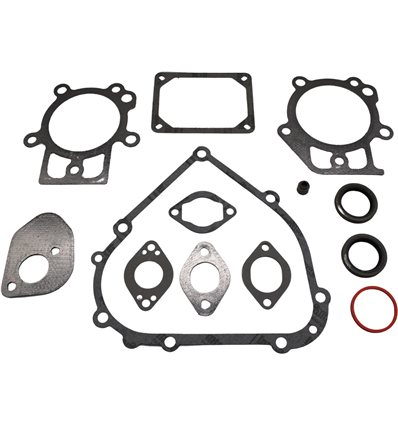 BRIGGS & STRATTON Packningssats motor 795201 - 1