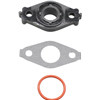 BRIGGS & STRATTON Distans förgasare 793456 - 1