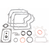 BRIGGS & STRATTON Packningssats 691580 - 1