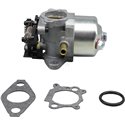 Briggs & Stratton förgasare 84001115, 793463 - 1