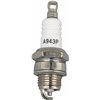 Tändstift Champion RCJ8Y, NGK BPMR6A - 2