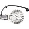 Tändspole SP37, SP375, SP375Q, 405 , 118805575/0 - 2