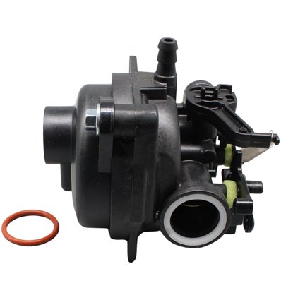 BRIGGS & STRATTON Förgasare 84001041 - 1