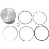 Briggs & Stratton Kolvsats, 793318 - 1