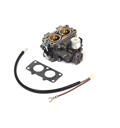 BRIGGS & STRATTON Förgasare 845199 - 1
