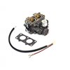 BRIGGS & STRATTON Förgasare 845199 - 1