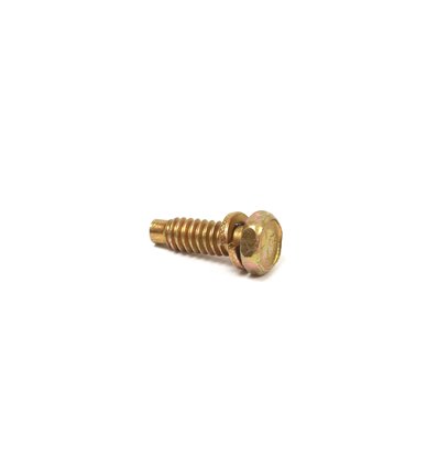 BRIGGS & STRATTON  Skruv 691666 - 1