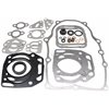 Packningssats Briggs & Stratton 841188, 304447 - 1