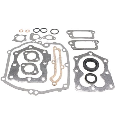 Packningssats Briggs & Stratton 590508 - 1