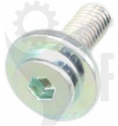 RYOBI skruv 5131045195 - 1