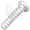 RYOBI Skruv 5131043973 - 2