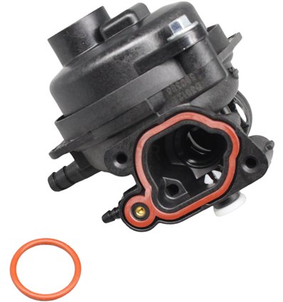 BRIGGS & STRATTON Förgasare 591110 - 1