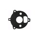 Briggs & Stratton packning förgasare 27918, 394209 - 2