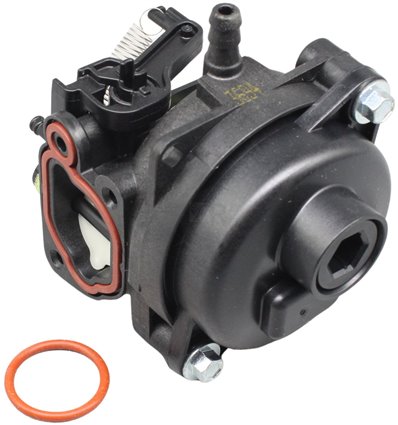 BRIGGS & STRATTON Förgasare 594576 - 1
