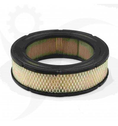 BRIGGS & STRATTON Luftfilter Vanguard V-Twin, 692519 - 1