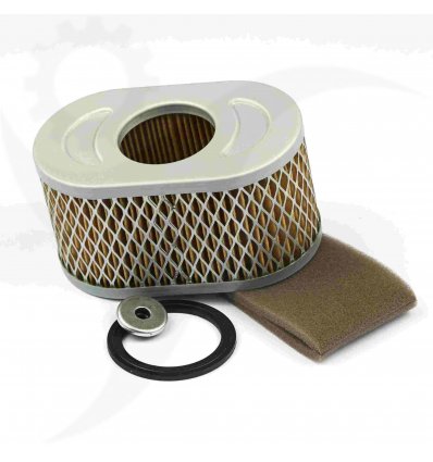 BRIGGS & STRATTON Luftfilter Vanguard 10hk, 797033 - 1