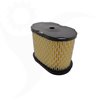 Luftfilter Briggs & Stratton Intek, OHV, 697029, 690610 - 1