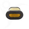 Luftfilter Briggs & Stratton Intek, OHV, 697029, 690610 - 1